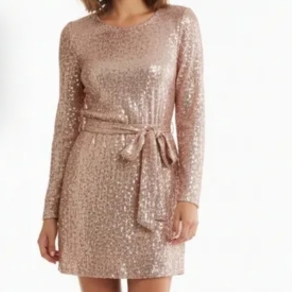 Elegant Long Sleeve Sequin Dress in Rose Gold - Picture 2 of 2